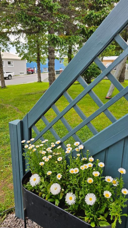 B&B Rooms Husavik 1 エクステリア 写真
